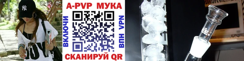 Alfa_PVP СК КРИС Сыктывкар
