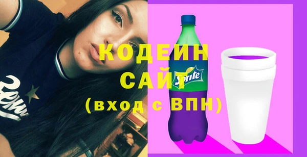 тгк Гусев