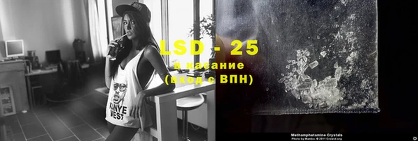 тгк Гусев