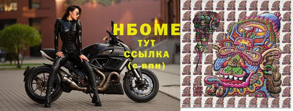 тгк Гусев