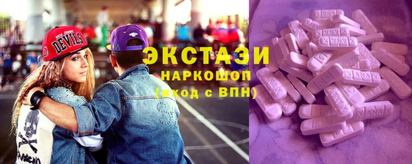 тгк Гусев