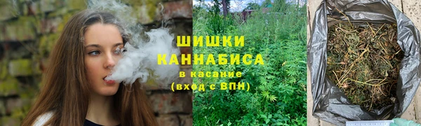 сатива Сатка